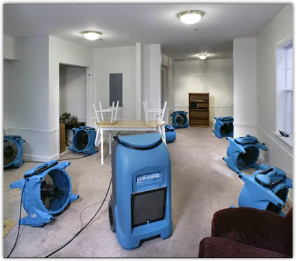 Mold Remediation & Removal in Boise City, ID