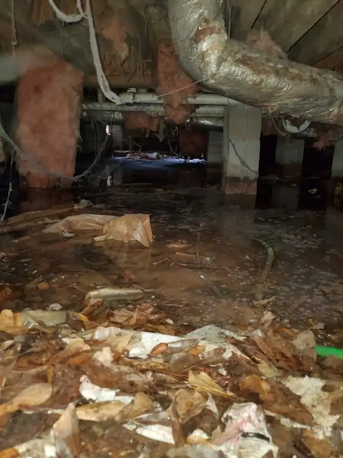 Crawl space flood assessment for Leak Detection & Repair in Boise City
