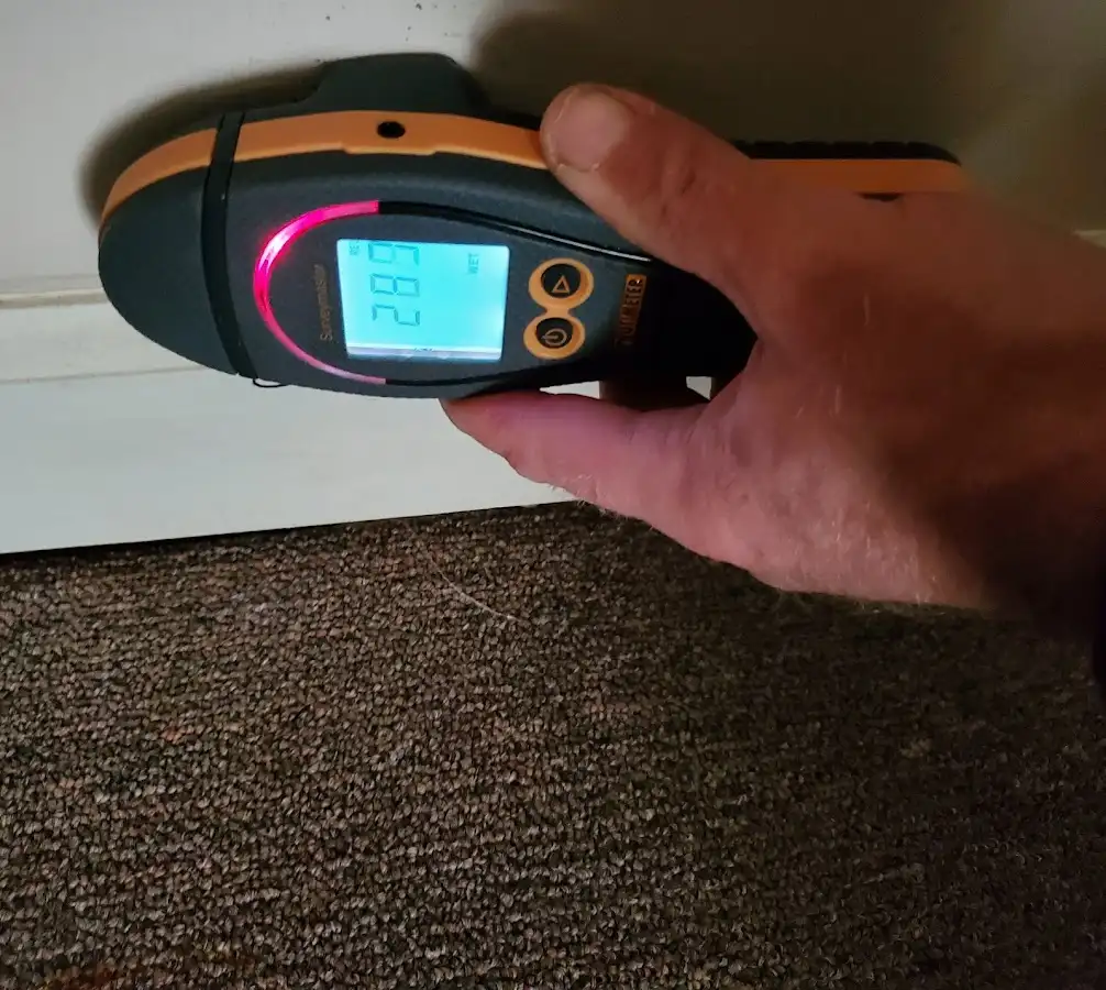 Moisture detection at baseboard during Mold Inspection & Testing in Boise City